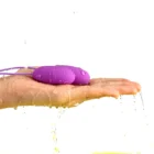 kf-Seacd4d9486e542349568c72a31552458A