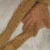 Skin1